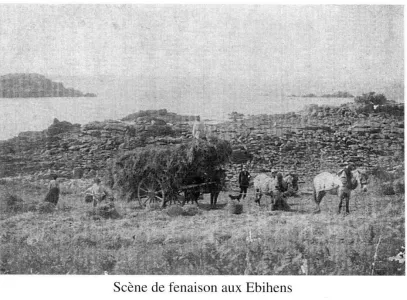 fenaison